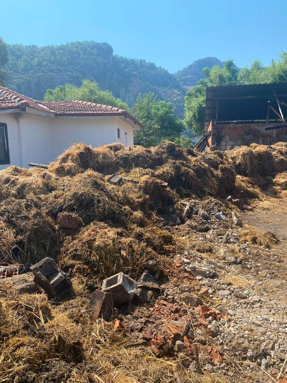 Muğla’da Ahır Yangını: 500 Balya Kül Oldu, Büyükşehir Harekete Geçti 1